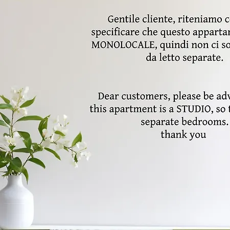 Monolocale Mirko